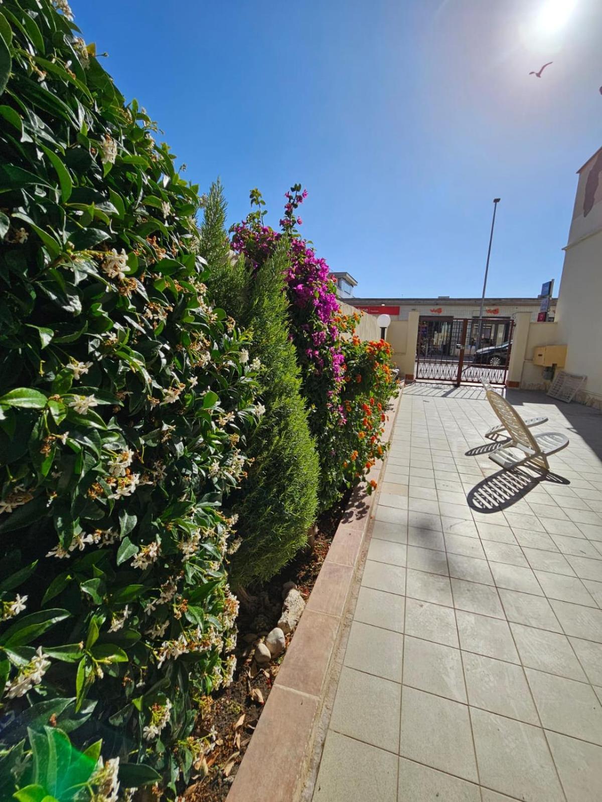Bebo House Fiumicino Apartment ภายนอก รูปภาพ